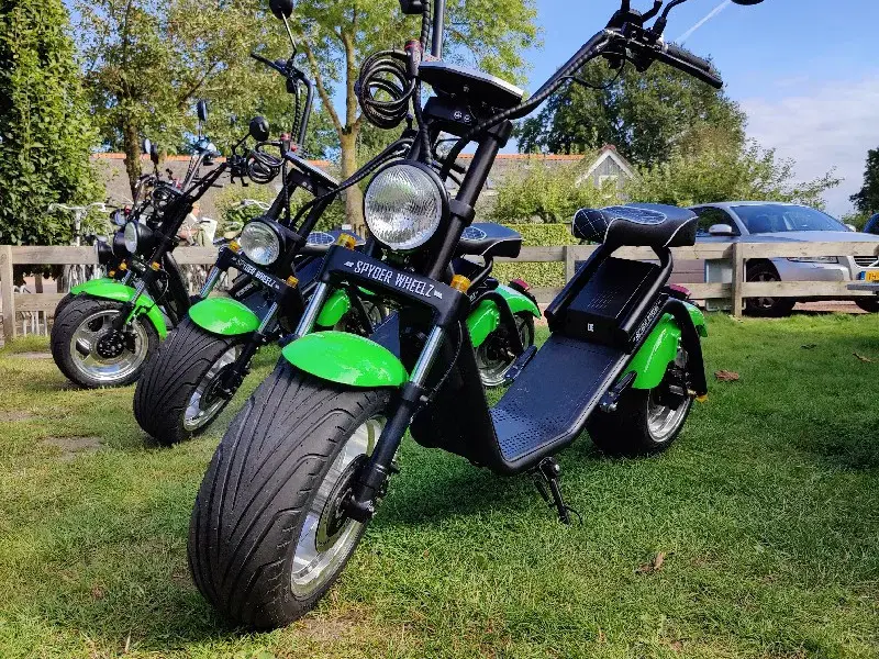 Weerribben Chopper Afternoon